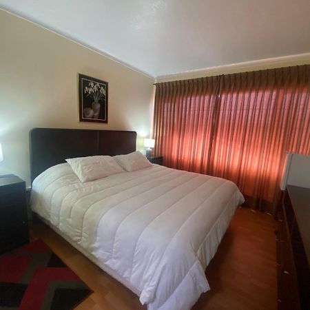 New Hotel Cruz Del Sur 康塞普西翁 外观 照片
