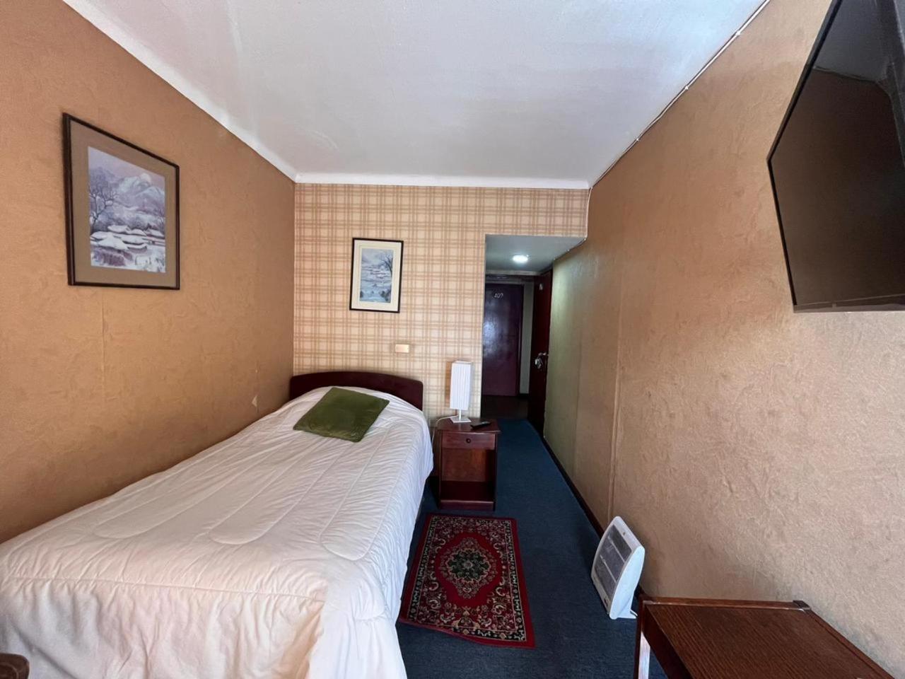 New Hotel Cruz Del Sur 康塞普西翁 外观 照片
