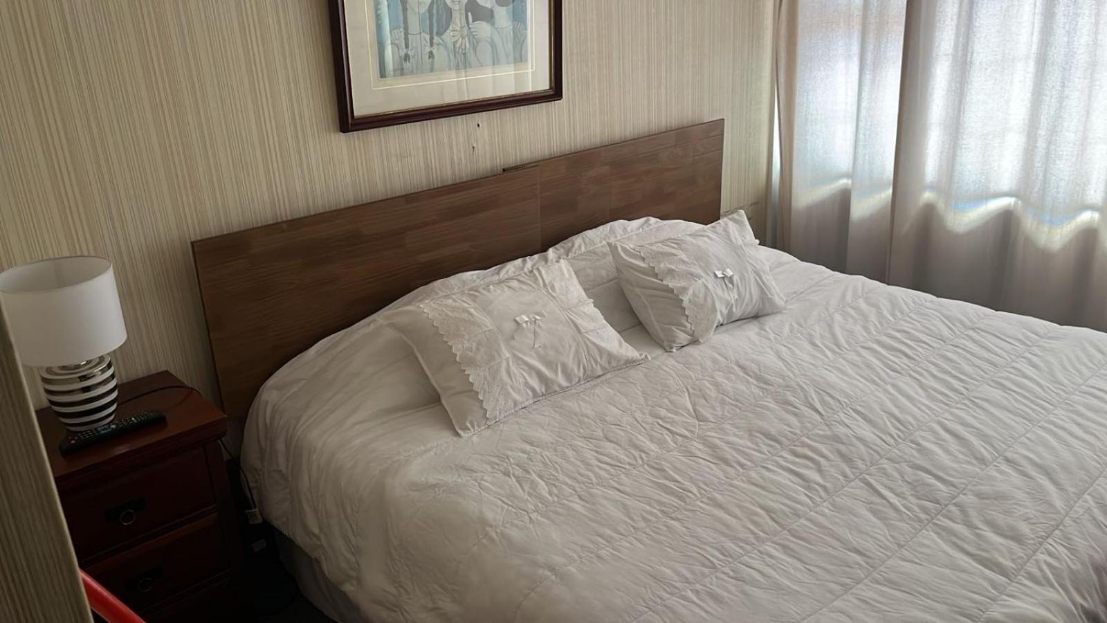 New Hotel Cruz Del Sur 康塞普西翁 外观 照片