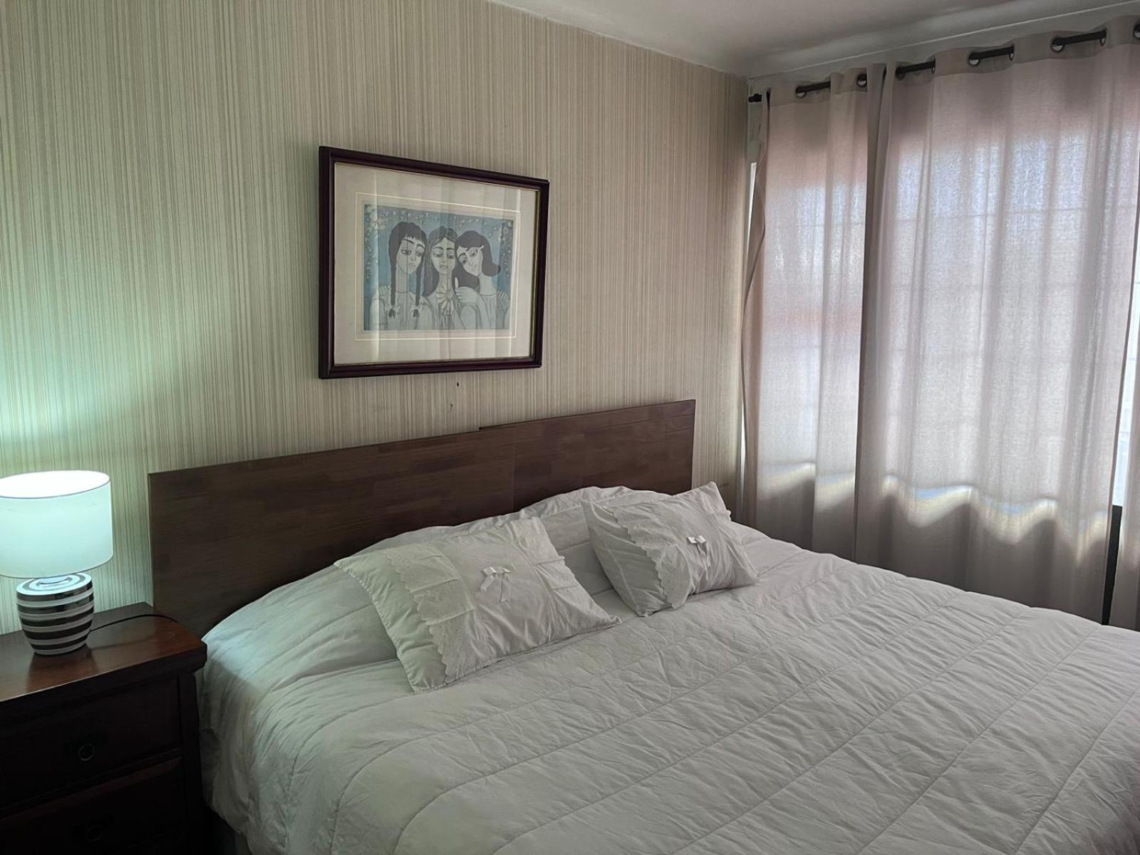 New Hotel Cruz Del Sur 康塞普西翁 外观 照片