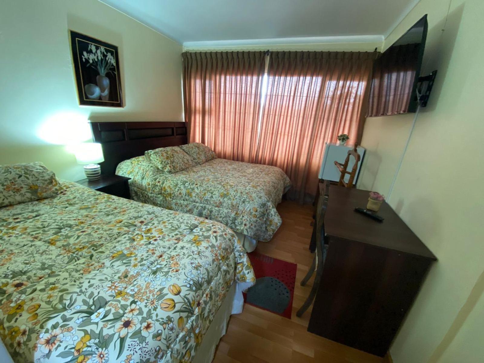 New Hotel Cruz Del Sur 康塞普西翁 外观 照片