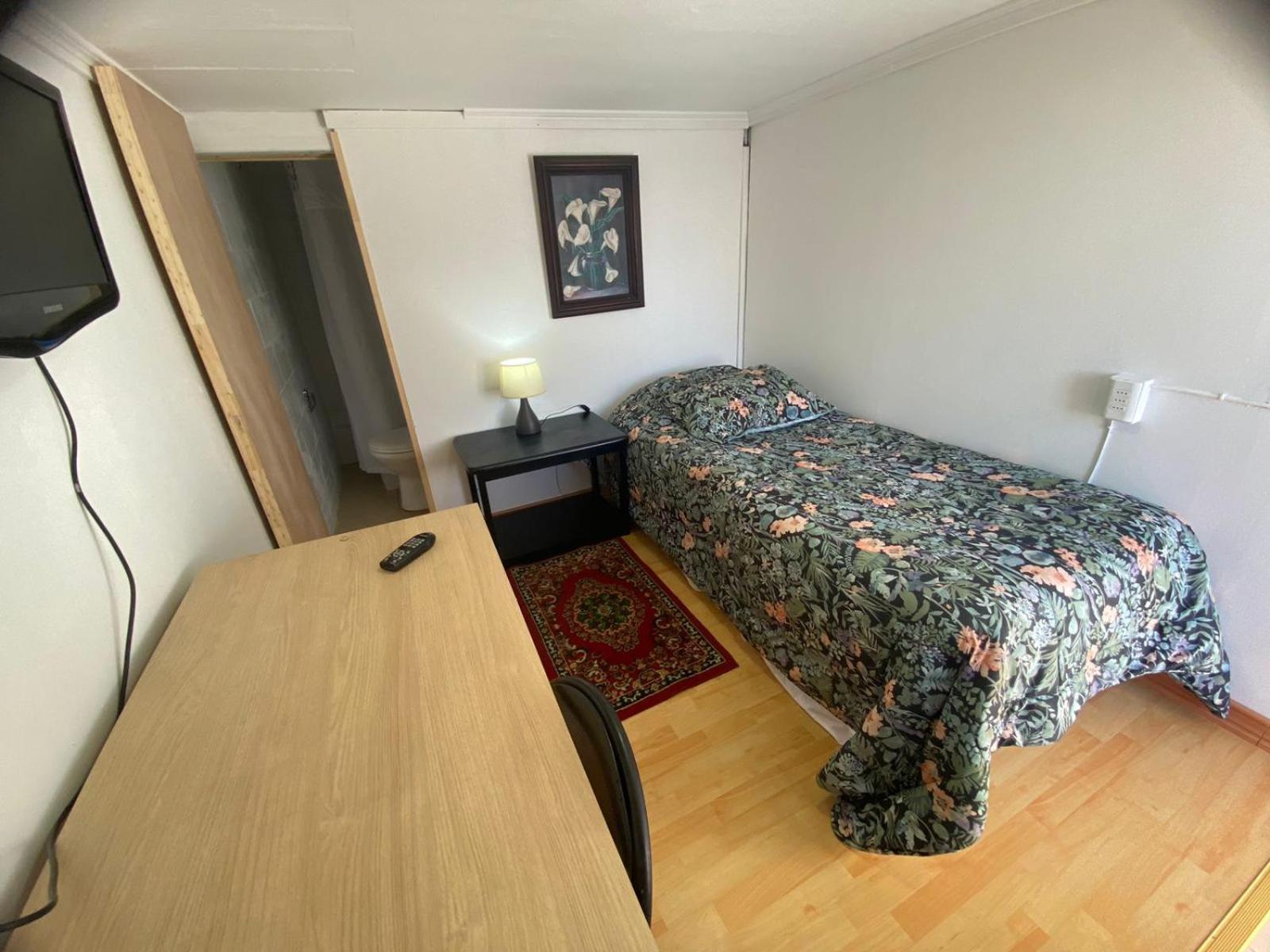 New Hotel Cruz Del Sur 康塞普西翁 外观 照片