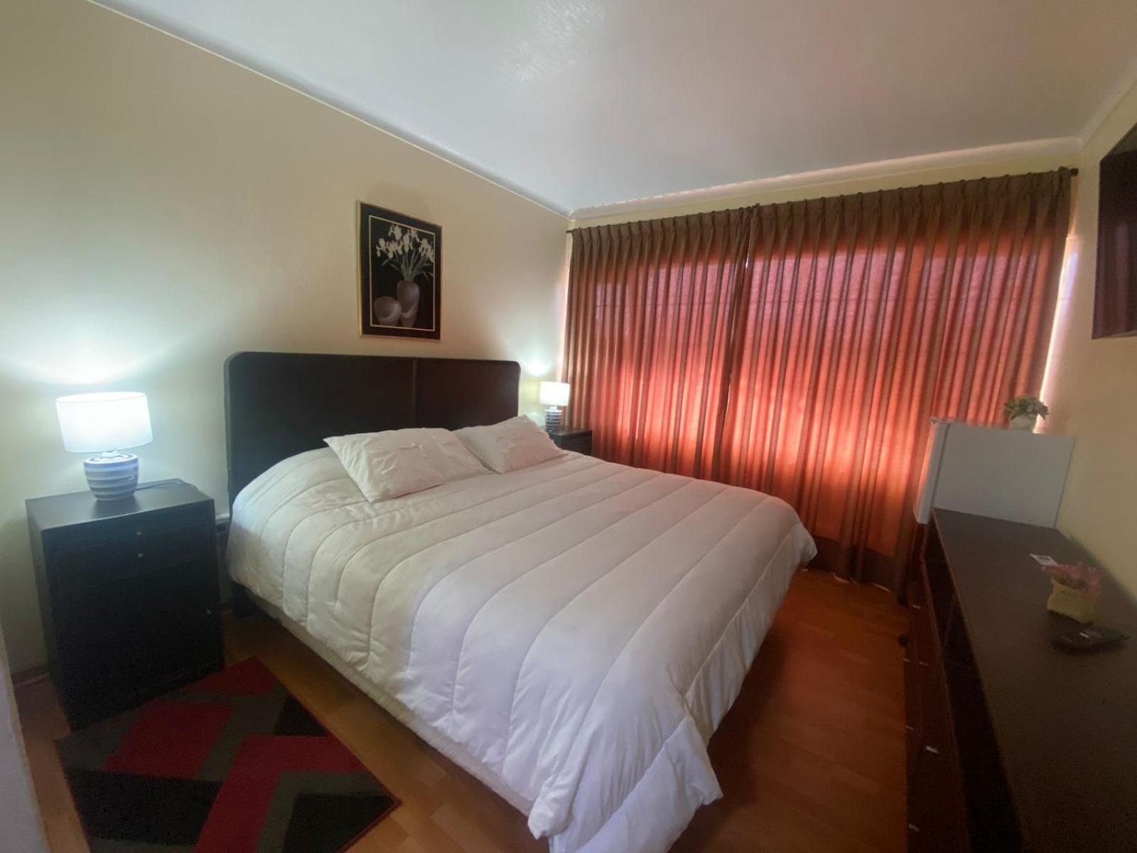 New Hotel Cruz Del Sur 康塞普西翁 外观 照片