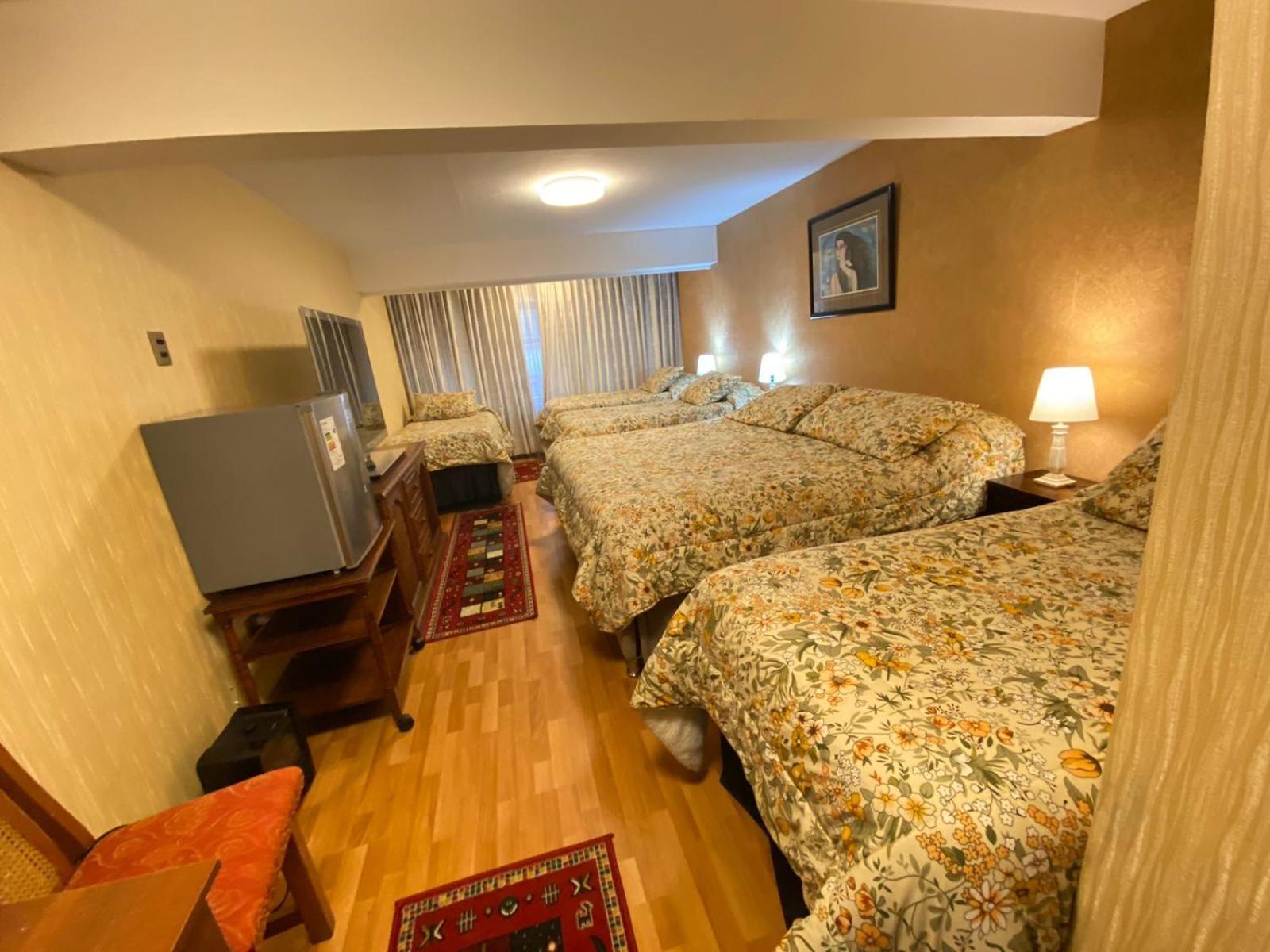 New Hotel Cruz Del Sur 康塞普西翁 外观 照片