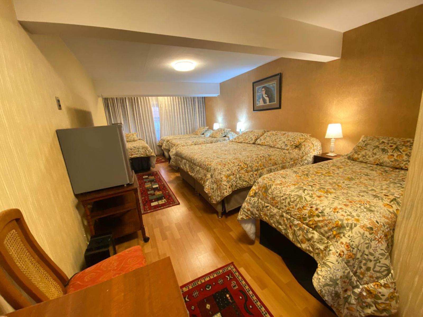 New Hotel Cruz Del Sur 康塞普西翁 外观 照片