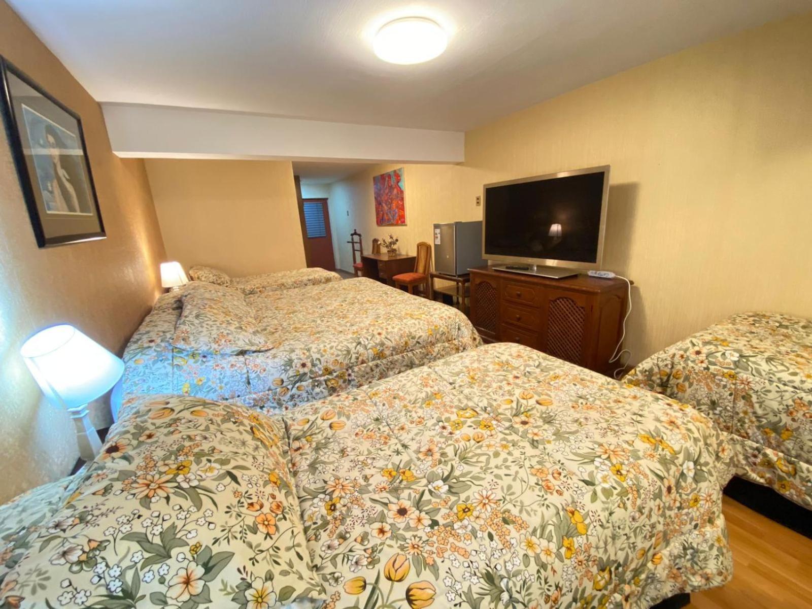 New Hotel Cruz Del Sur 康塞普西翁 外观 照片