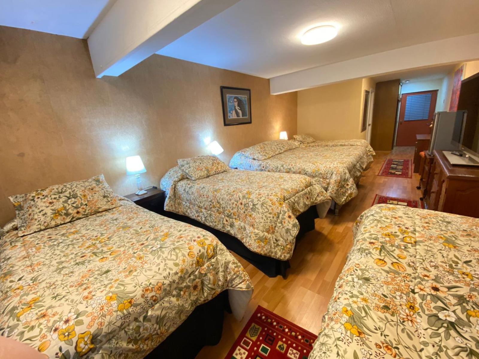 New Hotel Cruz Del Sur 康塞普西翁 外观 照片
